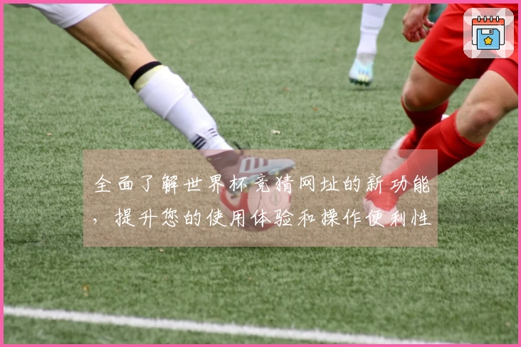 全面了解世界杯竞猜网址的新功能，提升您的使用体验和操作便利性