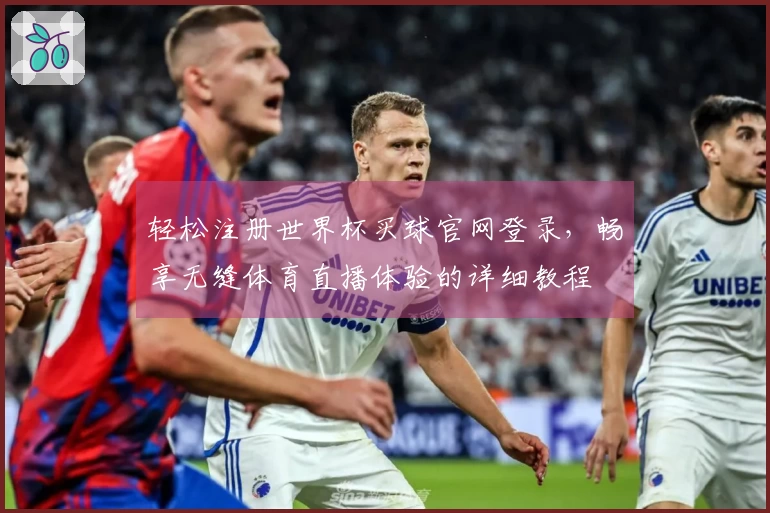 轻松注册世界杯买球官网登录，畅享无缝体育直播体验的详细教程