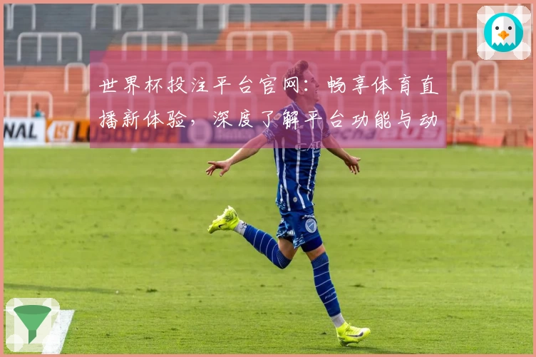 世界杯投注平台官网：畅享体育直播新体验，深度了解平台功能与动态发展