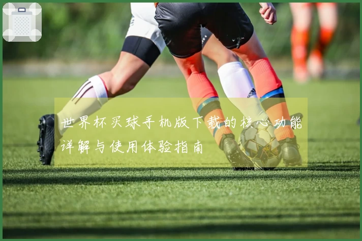 世界杯买球手机版下载的核心功能详解与使用体验指南